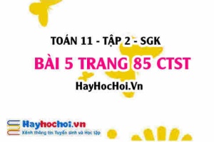 Bài 5 trang 85 Toán 11 tập 2 Chân trời sáng tạo